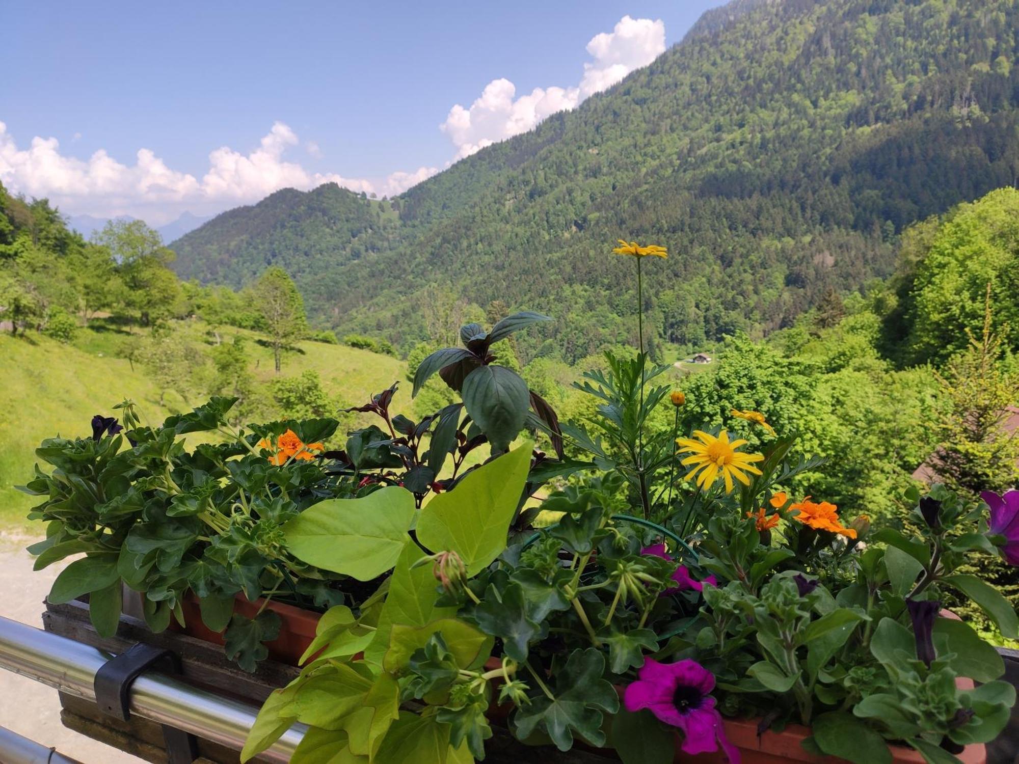 Les Chemins Du Leman Hotel Novel Ngoại thất bức ảnh